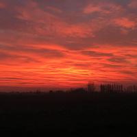 Rustico + capannone + terreni