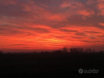 Rustico + capannone + terreni