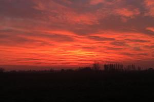 Rustico + capannone + terreni