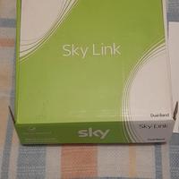 sky link