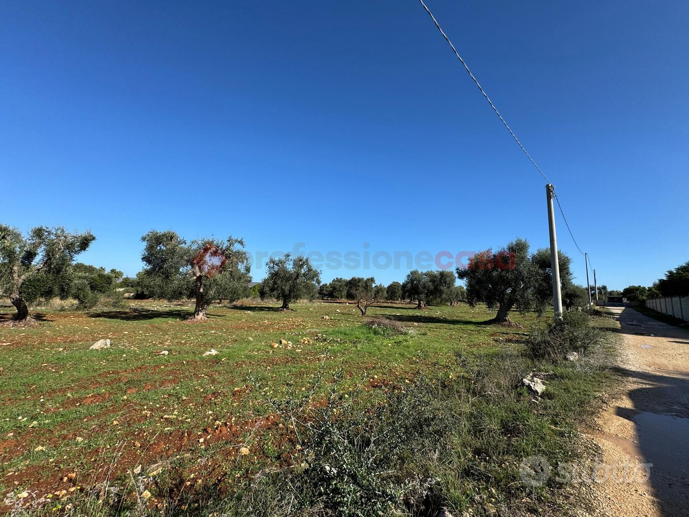 Terreno Agricolo Grottaglie [GP2523VCG] - Vista 5