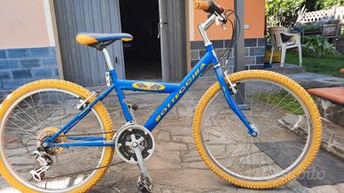 Bicicletta bambino 