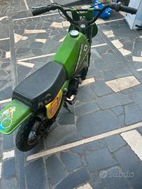 Cimatti kaiman baby 50