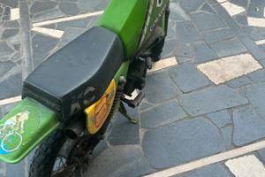 Cimatti kaiman baby 50