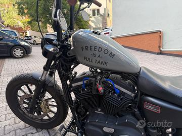 Harley 883 iron custom bobber