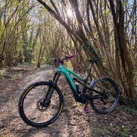 CANNONDALE Moterra Carbon L