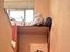 Immagine 19