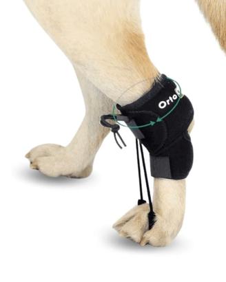 Supporto zampa - Orto Canis 