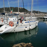 Elan 31s natante vela