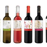 Vino catalano esclusivo