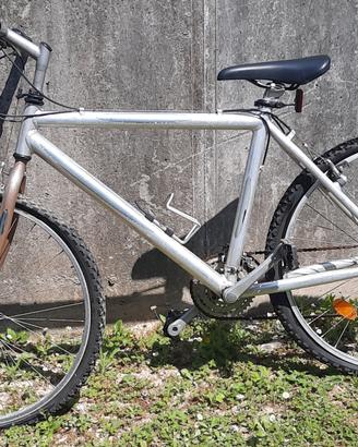 mountain bike
