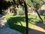 Immagine 12