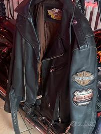 Giacca Harley