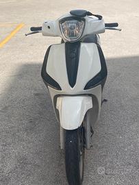 Liberty 50 2019