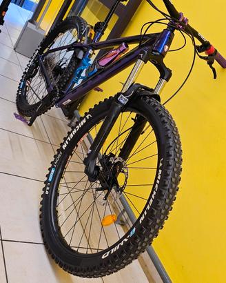 trek roscoe 6
