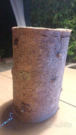 ceppo in legno