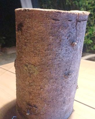 ceppo in legno