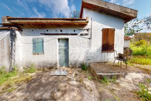 Casetta indipendente con 5.000 mq di terreno