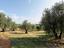 Immagine 21