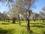 Immagine 25
