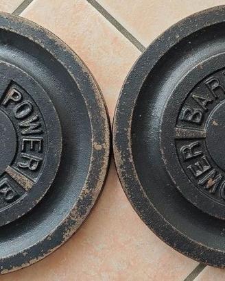 2 Dischi in ghisa da 10kg