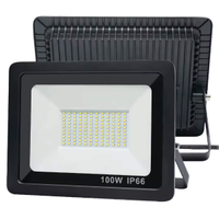 Faro Proiettore led 100 watt OEM per esterno