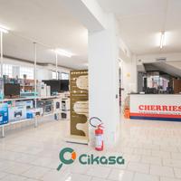 Via Trentino. Magazzino di 300 mq