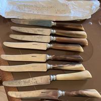 10 coltelli svizzeri con manico in osso