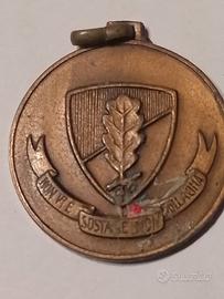 Medaglia comando divisione Fanteria Avellino