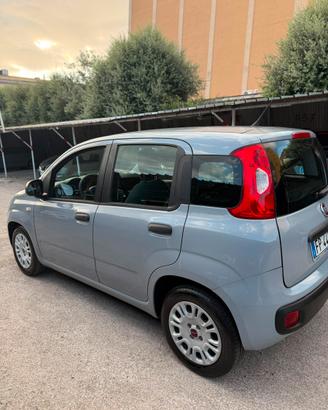 FIAT PANDA 1.2 BENZINA CON SOLI 91.500 KM