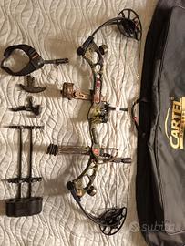 Arco compound Pse x force dream season