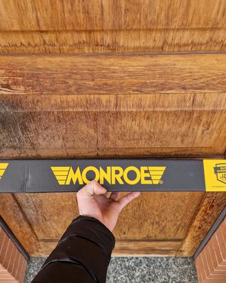 ammortizzatori Monroe 