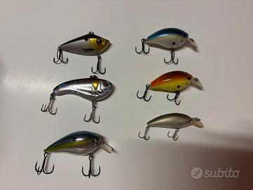 Lotto shallow crankbait e lipless