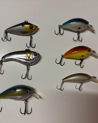 Lotto shallow crankbait e lipless