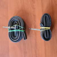 Cameradaria coppia 700x23 vittoria kenda