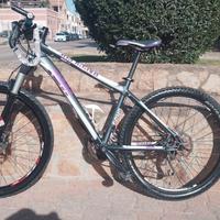bici MTB KTM 