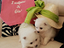 Immagine 3