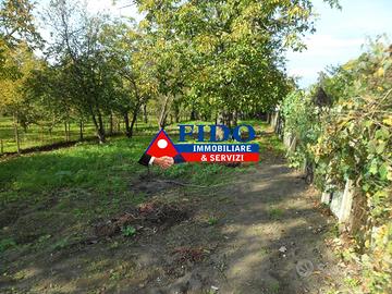 Terreno agricolo di 6195 mq