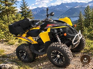 Can-am renegade 800R