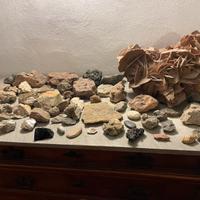 Grande rosa del deserto e ammoniti