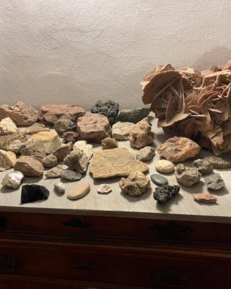 Collezione pietre:  rosa del deserto, ammoniti