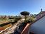 Immagine 17