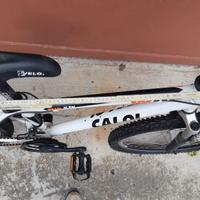Mountain bike ragazzo Caloi