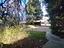 Immagine 27