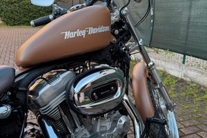 Harley 883