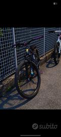 Mafiabike STB