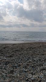 appartamento