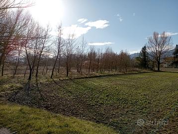 Terreno tartufaia zona Badia con accesso strada