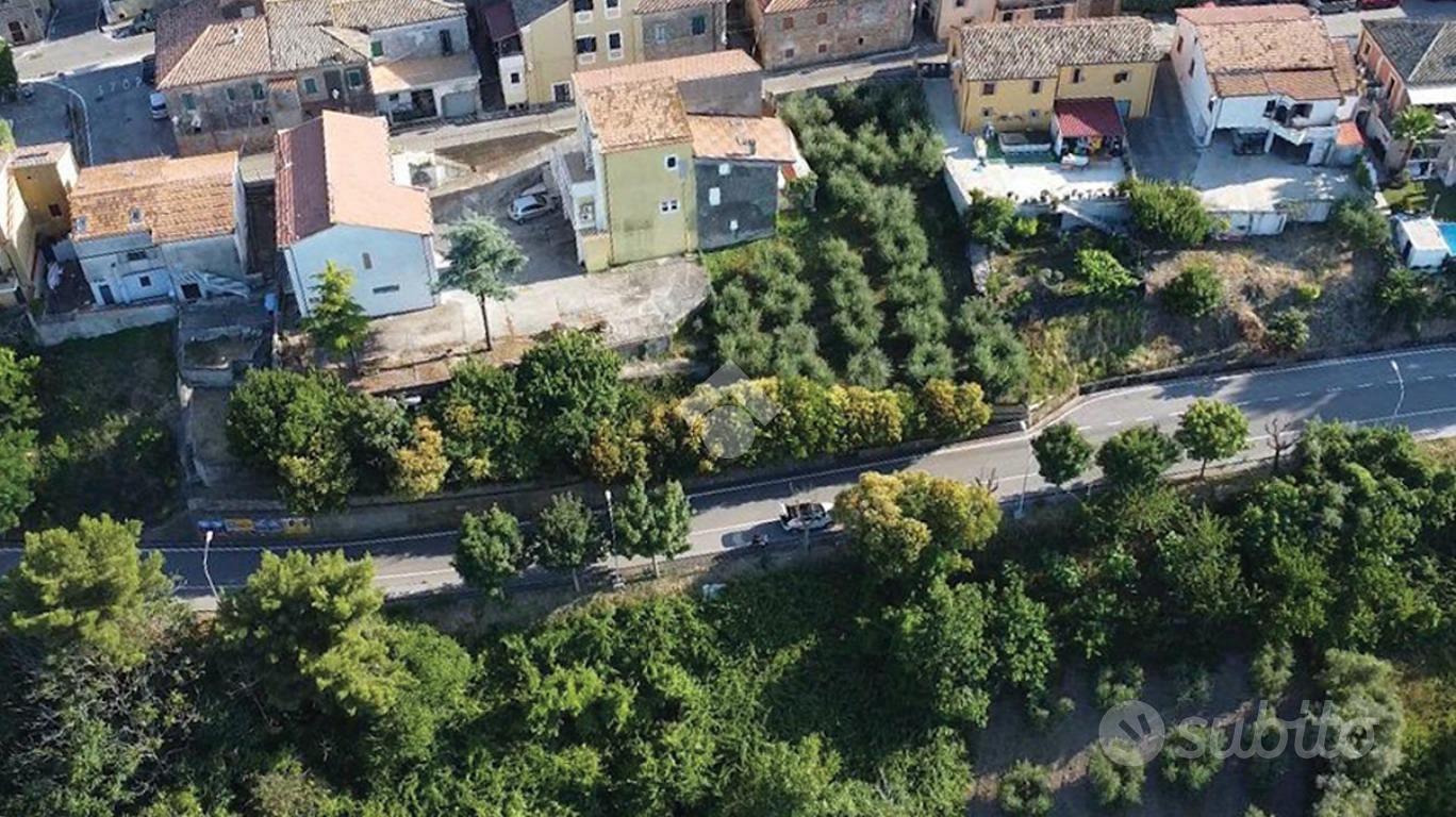 TER. AGRICOLO A TORTORETO - Altro