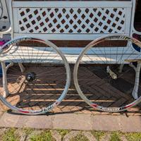 Coppia cerchioni bicicletta - freno contropedale